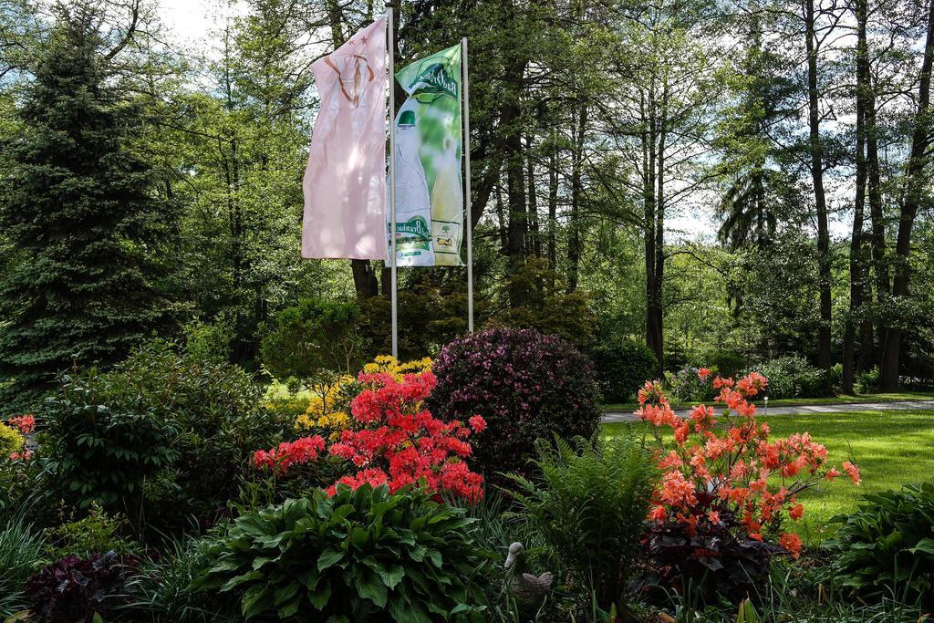 Hotel Vogtland Bad Elster Kültér fotó